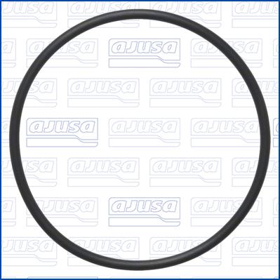 Ajusa 16565300 - Guarnizione, Filtro carburante www.autoricambit.com