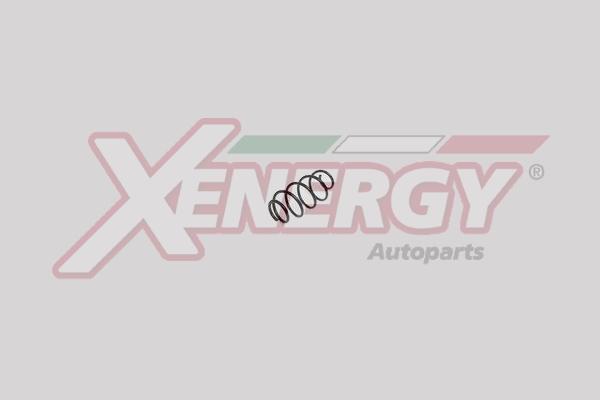 AP XENERGY XSH1317 - Molla autotelaio www.autoricambit.com