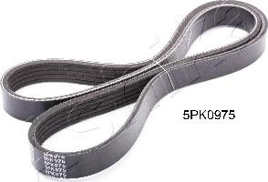 Ashika 112-5PK975 - Cinghia Poly-V www.autoricambit.com