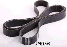 Ashika 112-7PK1750 - Cinghia Poly-V www.autoricambit.com