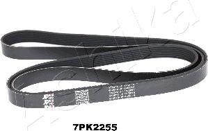 Ashika 112-7PK2255 - Cinghia Poly-V www.autoricambit.com