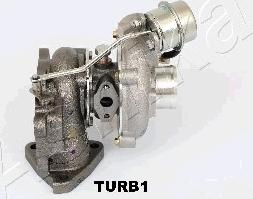 Ashika TURB1 - Turbocompressore, Sovralimentazione www.autoricambit.com