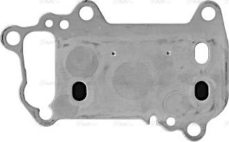 Ava Quality Cooling BW3622 - Radiatore olio, Olio motore www.autoricambit.com