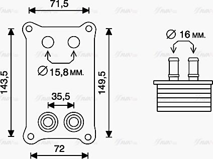 Ava Quality Cooling FD3623 - Radiatore olio, Olio motore www.autoricambit.com