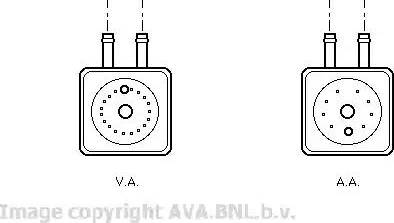 Ava Quality Cooling VW 3148 - Radiatore olio, Olio motore www.autoricambit.com