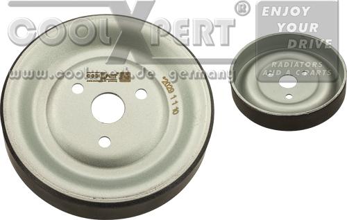 BBR Automotive 001-10-23438 - Puleggia, Pompa acqua www.autoricambit.com