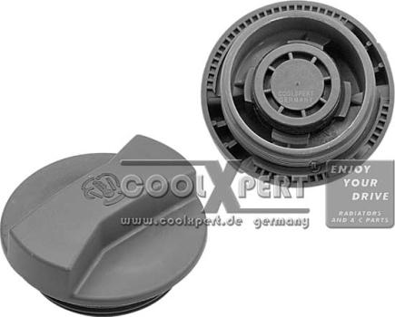 BBR Automotive 002-60-01041 - Tappo, serbatoio refrigerante www.autoricambit.com