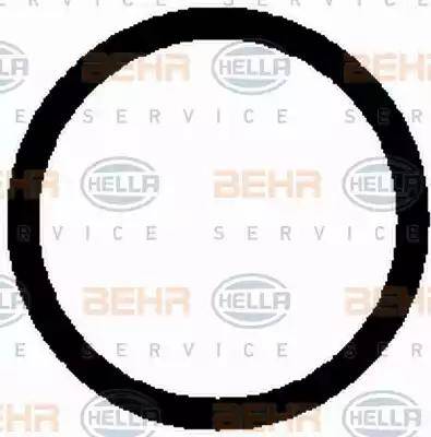 BEHR HELLA Service 8FK 351 124-081 - Compressore, Climatizzatore www.autoricambit.com