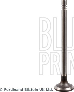 Blue Print ADBP610034 - Valvola di aspirazione www.autoricambit.com