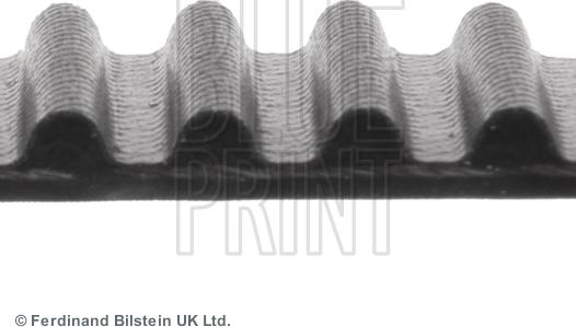 Blue Print ADM57517 - Cinghia dentata www.autoricambit.com