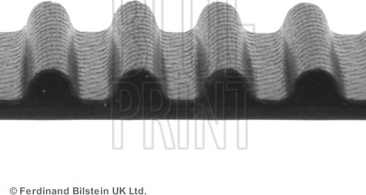 Blue Print ADN17516 - Cinghia dentata www.autoricambit.com