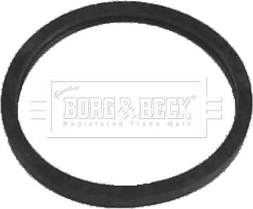 Borg & Beck BG022 - Termostato, Refrigerante www.autoricambit.com