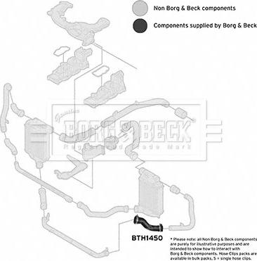 Borg & Beck BTH1450 - Flessibile aria alimentazione www.autoricambit.com