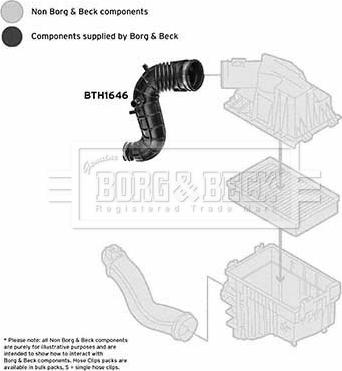 Borg & Beck BTH1646 - Flessibile d'aspirazione, Filtro aria www.autoricambit.com