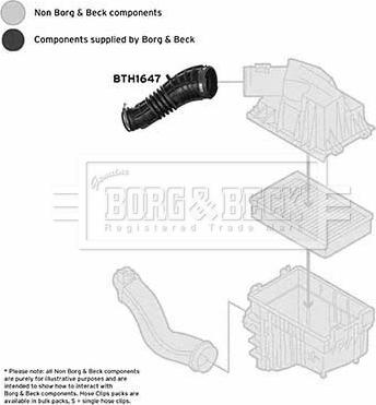 Borg & Beck BTH1647 - Flessibile d'aspirazione, Filtro aria www.autoricambit.com