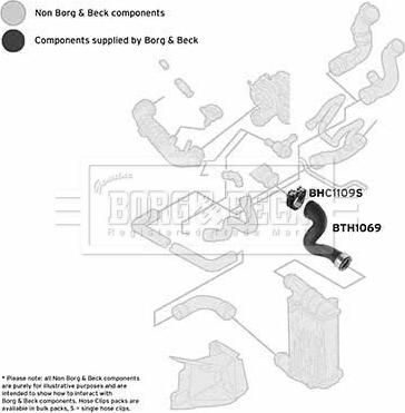 Borg & Beck BTH1069 - Flessibile aria alimentazione www.autoricambit.com