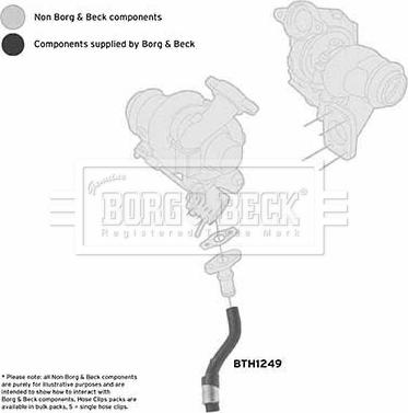 Borg & Beck BTH1249 - Flessibile aria alimentazione www.autoricambit.com