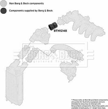 Borg & Beck BTH1248 - Flessibile aria alimentazione www.autoricambit.com