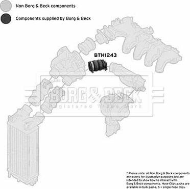 Borg & Beck BTH1243 - Flessibile aria alimentazione www.autoricambit.com