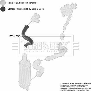 Borg & Beck BTH1258 - Flessibile aria alimentazione www.autoricambit.com