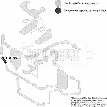 Borg & Beck BTH1719 - Flessibile aria alimentazione www.autoricambit.com