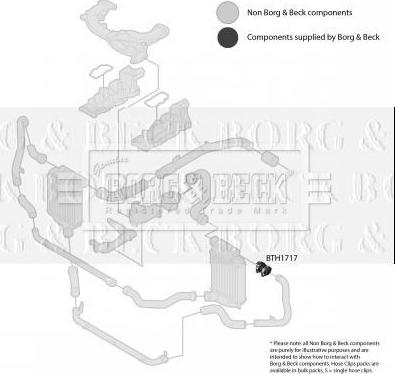 Borg & Beck BTH1717 - Flessibile aria alimentazione www.autoricambit.com