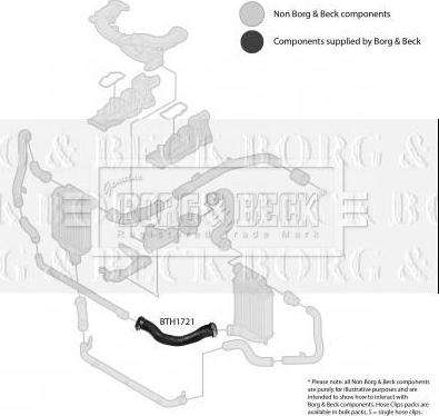 Borg & Beck BTH1721 - Flessibile aria alimentazione www.autoricambit.com