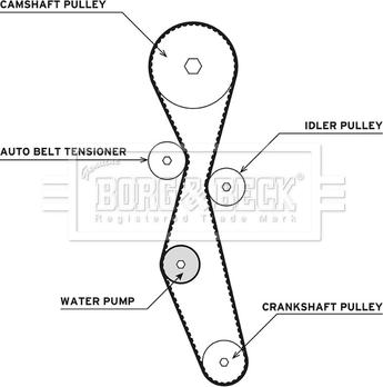 Borg & Beck BTW1013 - Pompa acqua + Kit cinghie dentate www.autoricambit.com