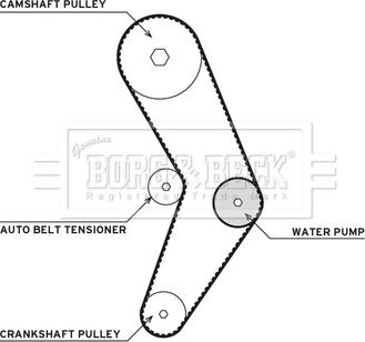 Borg & Beck BTW1079 - Pompa acqua + Kit cinghie dentate www.autoricambit.com