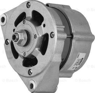 BOSCH 0 120 489 325 - Alternatore www.autoricambit.com