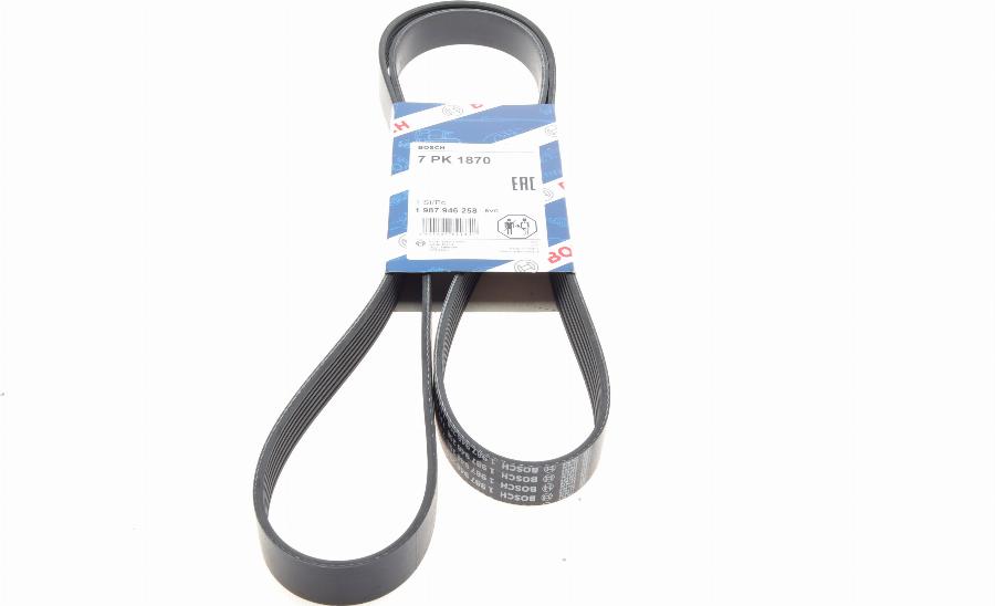 BOSCH 1 987 946 258 - Cinghia Poly-V www.autoricambit.com