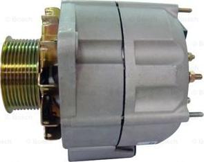 BOSCH F 042 301 007 - Alternatore www.autoricambit.com