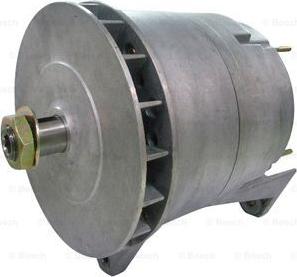 BOSCH F 042 301 156 - Alternatore www.autoricambit.com