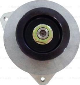 BOSCH F 042 301 157 - Alternatore www.autoricambit.com