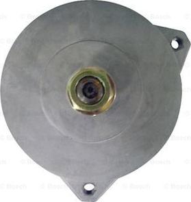 BOSCH F 042 301 169 - Alternatore www.autoricambit.com