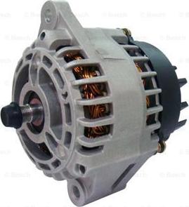 BOSCH F 042 307 021 - Alternatore www.autoricambit.com