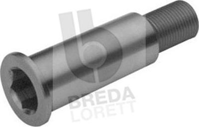 Breda Lorett TOA3074 - Perno di banco, Leva rullo tenditore www.autoricambit.com