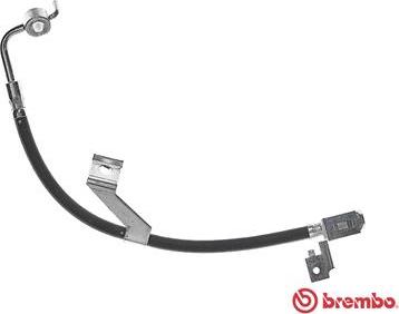 Brembo T 24 082 - Flessibile del freno www.autoricambit.com