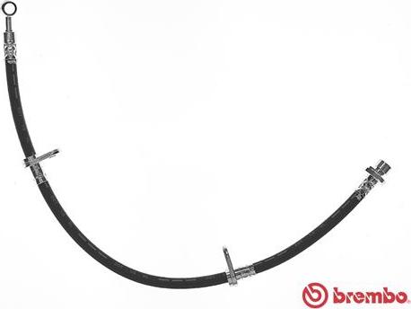 Brembo T 28 098 - Flessibile del freno www.autoricambit.com