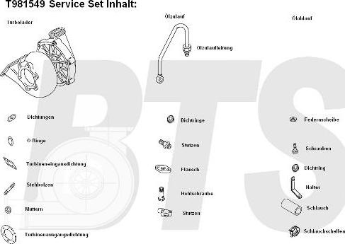 BTS Turbo T981549 - Turbocompressore, Sovralimentazione www.autoricambit.com