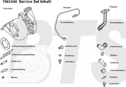 BTS Turbo T981540 - Turbocompressore, Sovralimentazione www.autoricambit.com