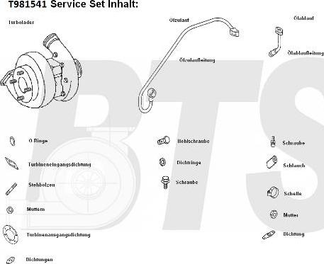 BTS Turbo T981541 - Turbocompressore, Sovralimentazione www.autoricambit.com