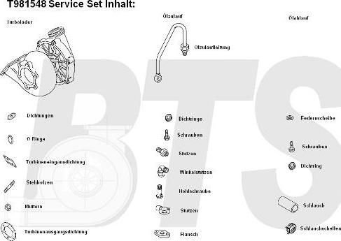 BTS Turbo T981548 - Turbocompressore, Sovralimentazione www.autoricambit.com