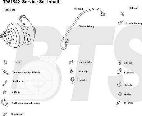 BTS Turbo T981542 - Turbocompressore, Sovralimentazione www.autoricambit.com