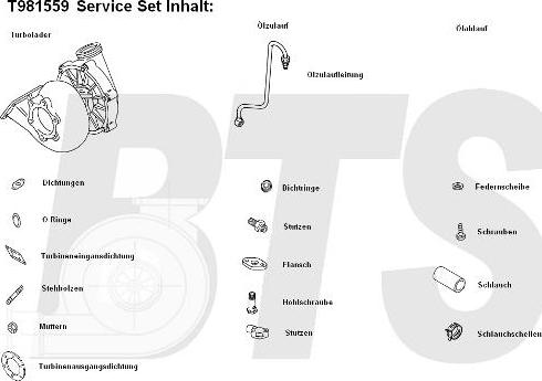 BTS Turbo T981559 - Turbocompressore, Sovralimentazione www.autoricambit.com