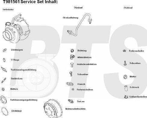 BTS Turbo T981561 - Turbocompressore, Sovralimentazione www.autoricambit.com