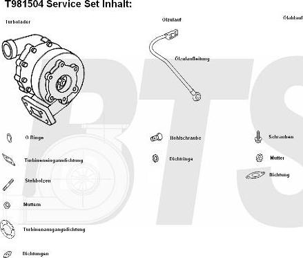 BTS Turbo T981504 - Turbocompressore, Sovralimentazione www.autoricambit.com