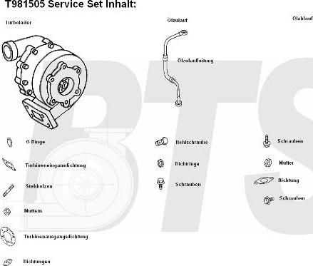 BTS Turbo T981505 - Turbocompressore, Sovralimentazione www.autoricambit.com