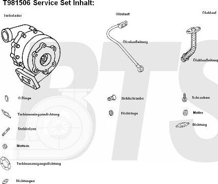 BTS Turbo T981506 - Turbocompressore, Sovralimentazione www.autoricambit.com