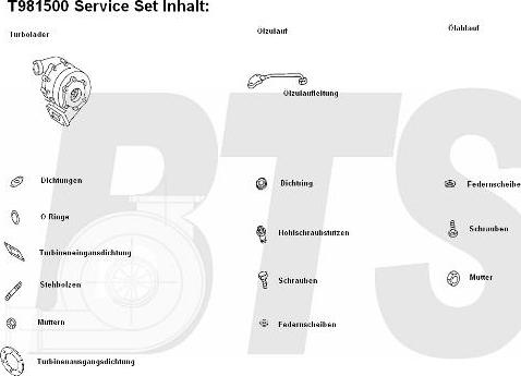 BTS Turbo T981500 - Turbocompressore, Sovralimentazione www.autoricambit.com